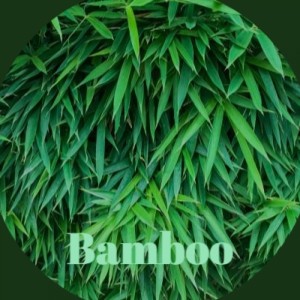 收聽Johnny & The Hurricanes的Bamboo歌詞歌曲