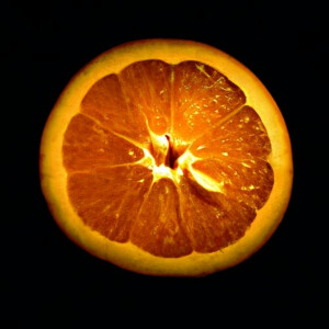 Album Agent Orange (Explicit) oleh klouded