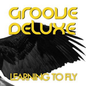 收听Groove Deluxe的Learning to Fly (Club Mix)歌词歌曲
