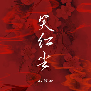 收聽小阿七的笑紅塵 (DJ沈念版)歌詞歌曲