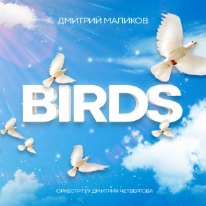 Listen to Birds song with lyrics from Дмитрий Маликов