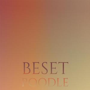 Beset Poodle dari Various