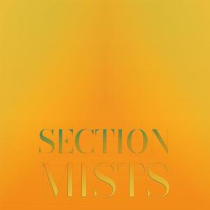 Album Section Mists oleh Various Artists