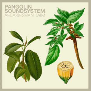 ดาวน์โหลดและฟังเพลง Aplakeishan Taim พร้อมเนื้อเพลงจาก Pangolin SoundSystem