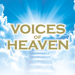ดาวน์โหลดและฟังเพลง Gloria in D Major, RV 589: I. Gloria in excelsis Deo พร้อมเนื้อเพลงจาก Andrew Parrott