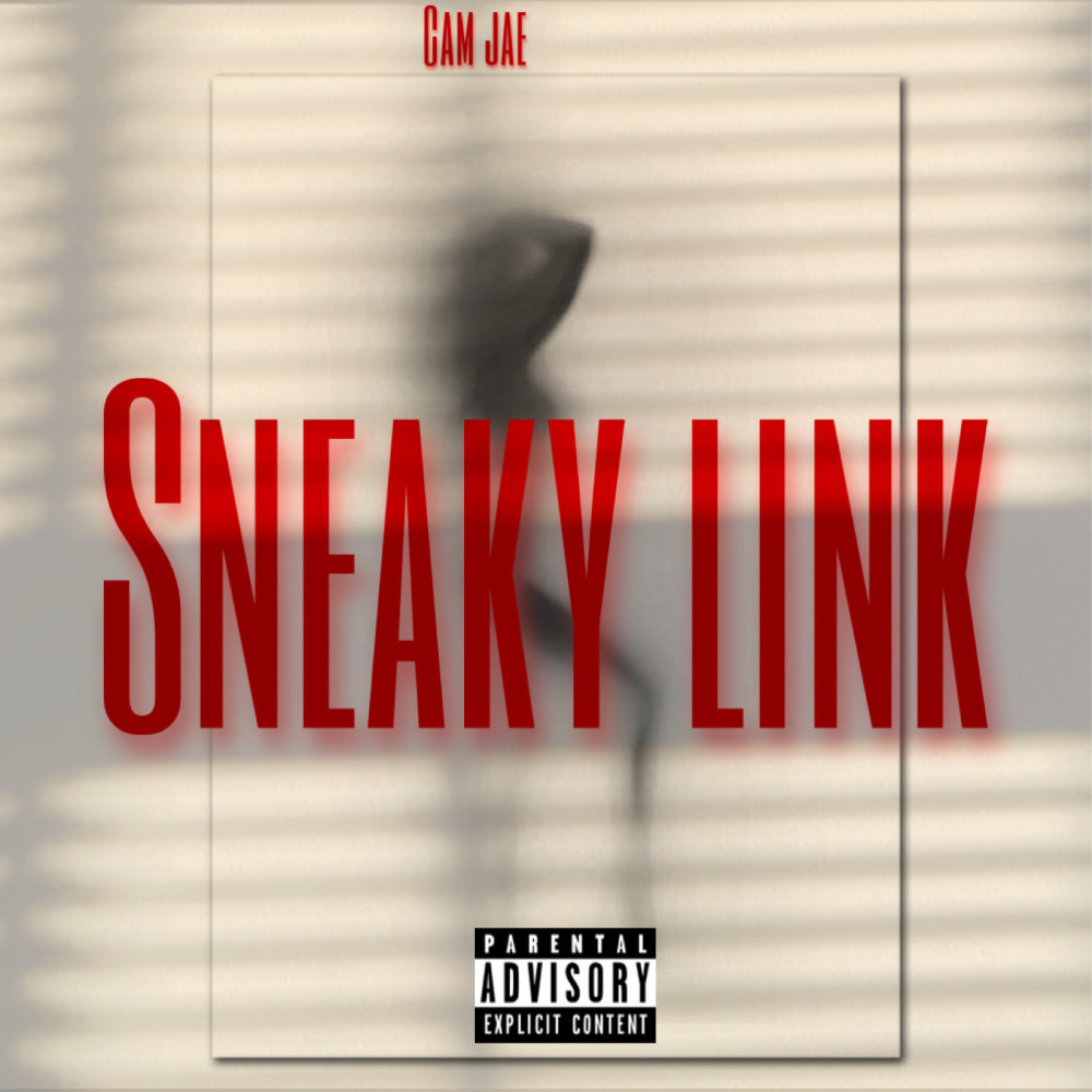 Sneaky Link (Explicit)