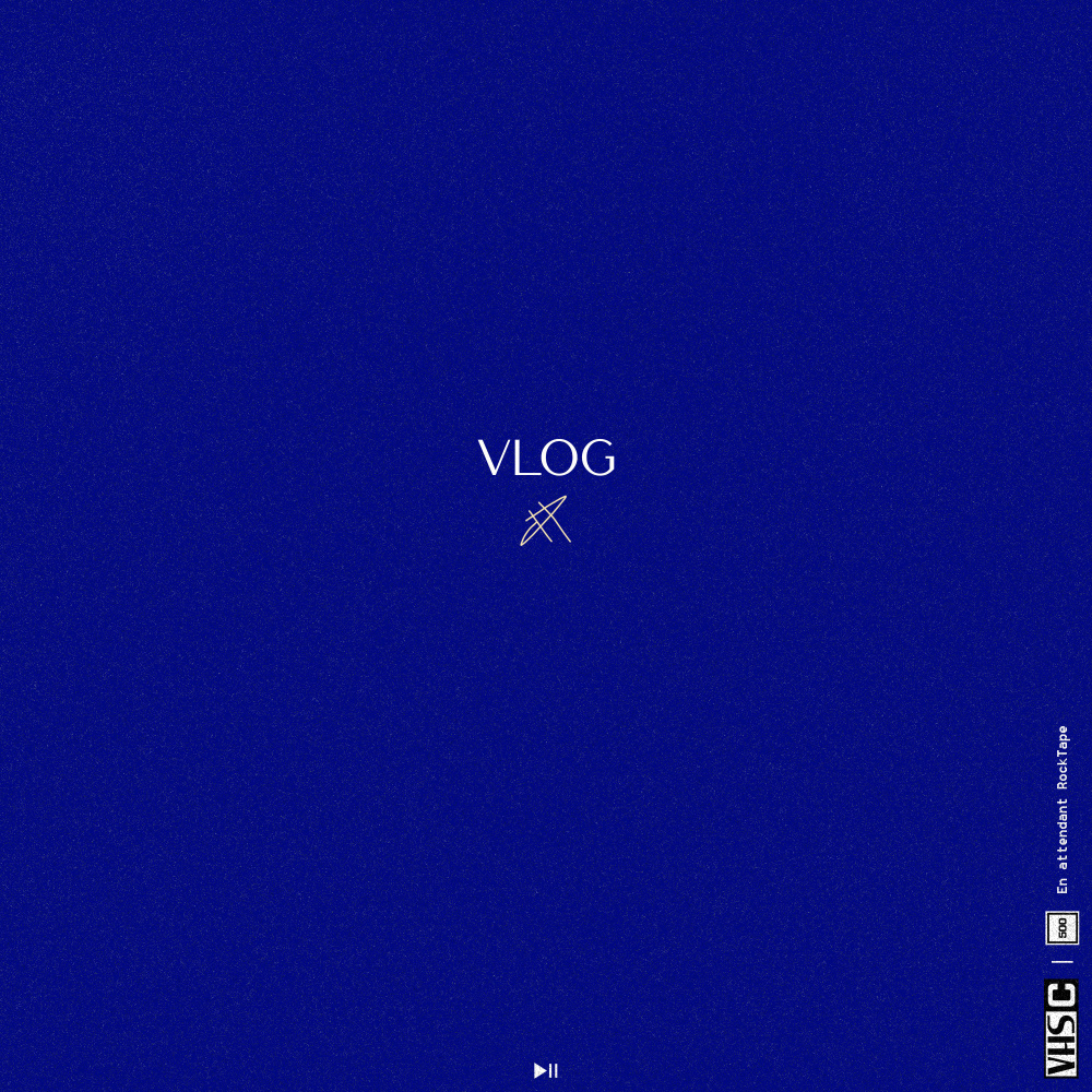 Vlog
