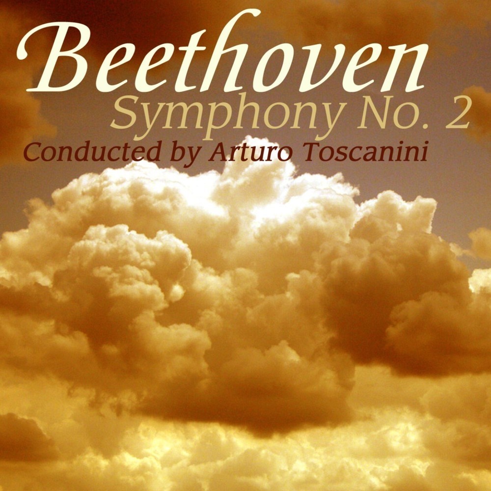 Symphony No. 2 in D Major, Op. 36: IV. Allegro molto
