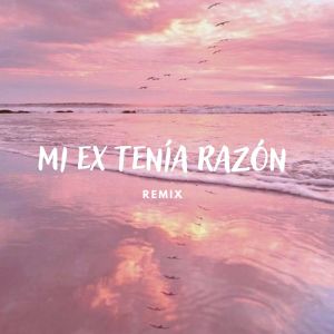 Album Mi Ex Tenia Razón (Reggaeton) [Remix] from Remix Tendencia