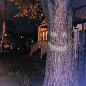 收聽Stuart的Where do the freaks hang out歌詞歌曲