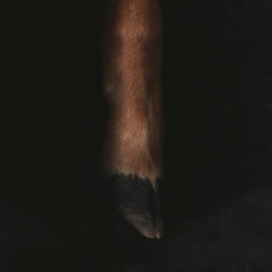 Rivi Palomino的專輯homespun