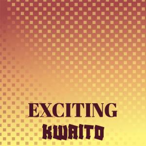 Various Artists的專輯Exciting Kwaito