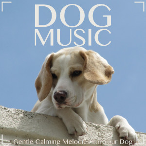 Dengarkan lagu Mother Nature nyanyian Dog Music Dreams dengan lirik