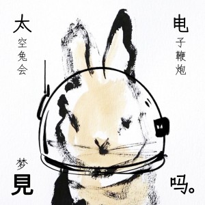 Album 太空兔的电子炮仗 oleh 圈9