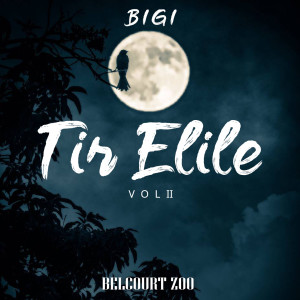 Bigi的專輯Tir Elile, Vol. 2