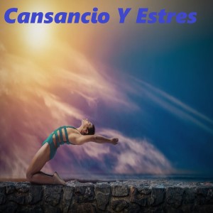 Album Cansancio y Estres from 