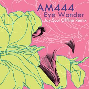 Listen to Eye Wonder (Jay.Soul Offline Remix) [Instrumental Version] song with lyrics from AM444