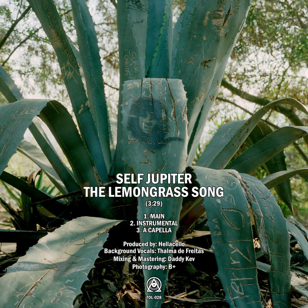 The Lemongrass Song (A Cappella)