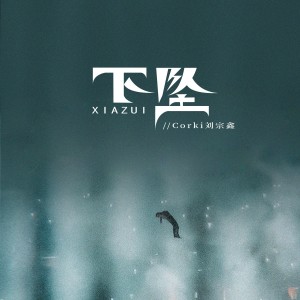 Listen to 下坠Falling (DJRichz版伴奏) song with lyrics from Corki