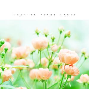 Listen to Like a lonesome wind song with lyrics from Kim Hongyeon