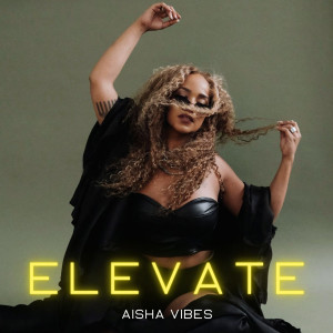 Listen to No Pressure song with lyrics from Aisha Vibes