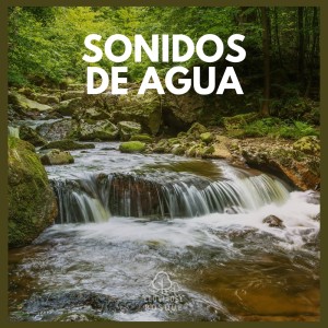 ดาวน์โหลดและฟังเพลง Sonidos de Agua (20) พร้อมเนื้อเพลงจาก Lluvia del Bosque