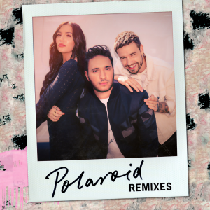 收聽Jonas Blue的Polaroid (Zac Samuel Remix)歌詞歌曲