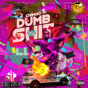 Listen to Dumb Shit (Explicit) song with lyrics from Chinoo