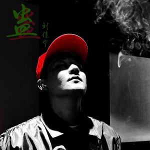 Listen to 蛊 (完整版) song with lyrics from 刘佳宁
