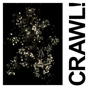 Idles的專輯Crawl! (DGG Edit) (Explicit)