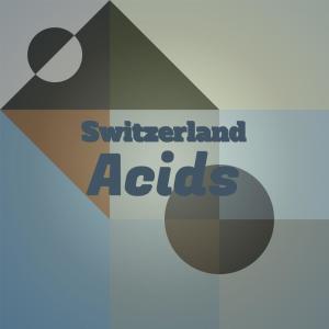 อัลบัม Switzerland Acids ศิลปิน Various