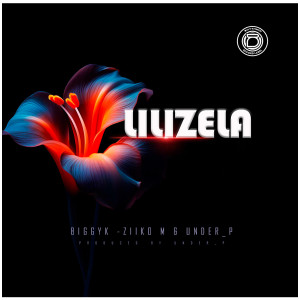 Listen to Lilizela song with lyrics from Biggy K