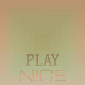 Album Play Nice from Various Artists