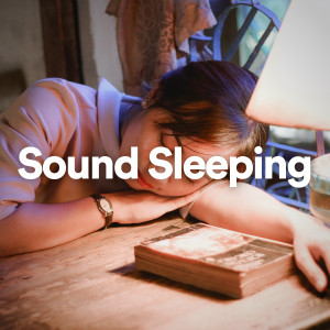 Album Sound Sleeping oleh Sleeping Music For Dogs