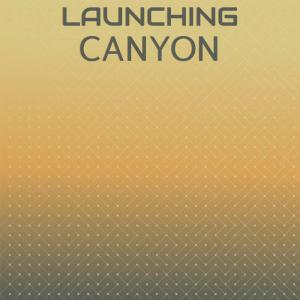 อัลบัม Launching Canyon ศิลปิน Various