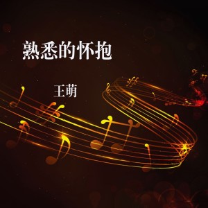 Dengarkan lagu 果断的走开 nyanyian 王萌 dengan lirik