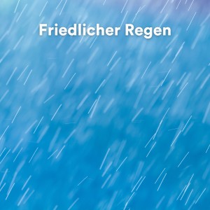 อัลบัม Friedlicher Regen (Entspannender Regen zum Schlafen) ศิลปิน Regengeräusche