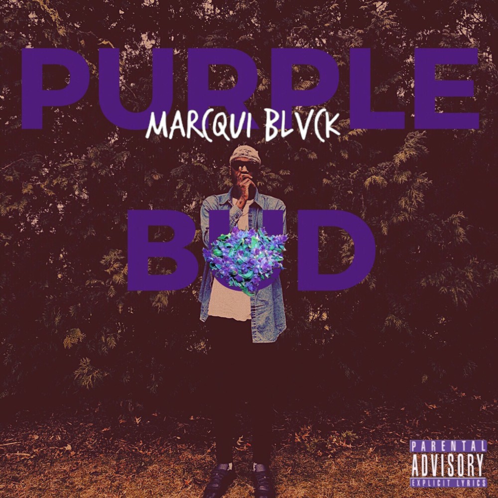 Purple Bud (Explicit)