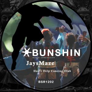 收聽JaysMaze的Hon't Delp Cancing Dlub歌詞歌曲