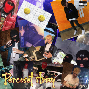 อัลบัม Percoset Army ศิลปิน Various Artists