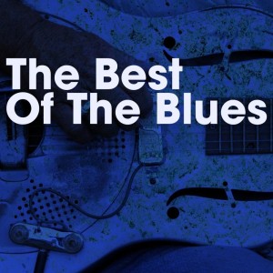 Dengarkan Roll And Tumble Blues lagu dari Hambone Willie Newburn dengan lirik