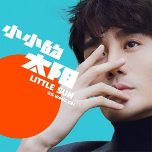 收听王凯的小小的太阳歌词歌曲