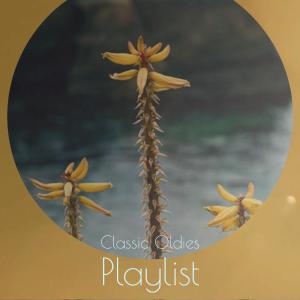 Various的专辑Classic Oldies Playlist