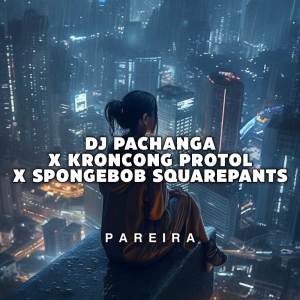 Album DJ PACHANGA X KRONCONG PROTOL X SPONGEBOB SOUND SNOWSKY oleh Pareira