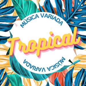 Album Música Variada Tropical from Various