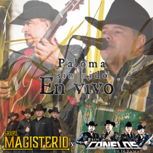 Grupo Magisterio的专辑Paloma Sin Nido (En Vivo)