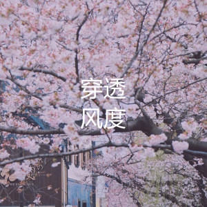 Dengarkan lagu 穿透 (抖音热播版) nyanyian 风度 dengan lirik