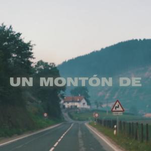 Album Un Montón de from Bolsa de naylon en la rama de un árbol