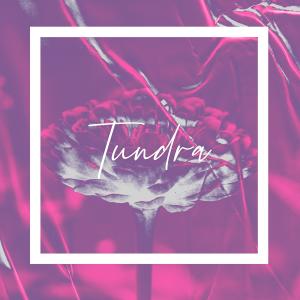 Listen to Tundra song with lyrics from Jerry of Everything