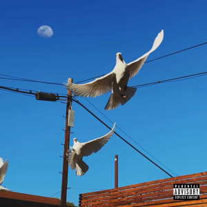 อัลบัม your name forever (Explicit) ศิลปิน Machine Gun Kelly
